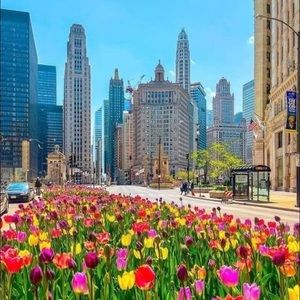 Meet your Posher, Hari